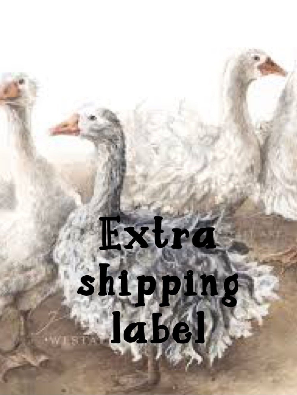 Extra Shipping $ Label